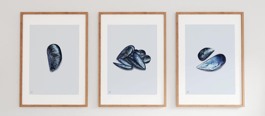 Three framed prints of mussels on a white wall